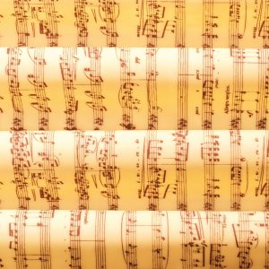 CM Basics Transferfolie Musical Notes