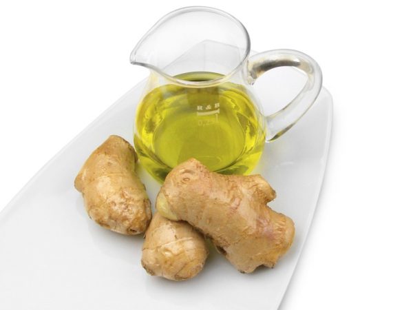 CM Basics Aroma-Öl Ingwer 50ml