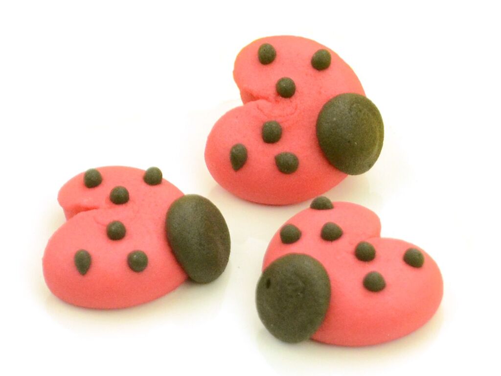 Cake Masters Glückskäfer 24mm Zucker 10 Stück