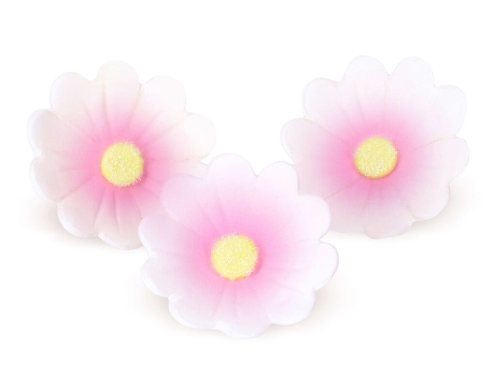 Cake Masters Blumen 40mm weiß-rosa Zucker 6 Stück