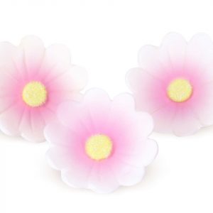 Cake Masters Blumen 40mm weiß-rosa Zucker 6 Stück