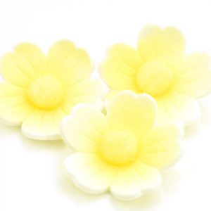Cake Masters Blumen 40mm weiß-gelb Zucker 6 Stück