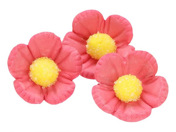 Cake Masters Blumen 30mm rosa Zucker 16 Stück