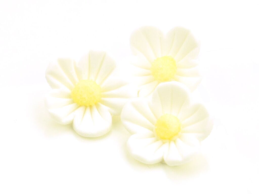 Cake Masters Blumen 25mm weiß Zucker 16 Stück