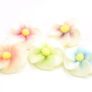Cake Masters Apfelblüten bunt Zucker 5 Stück