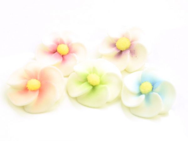 Cake Masters Apfelblüten bunt Zucker 5 Stück