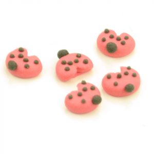 Cake Masters Glückskäfer 11mm Zucker 9 Stück