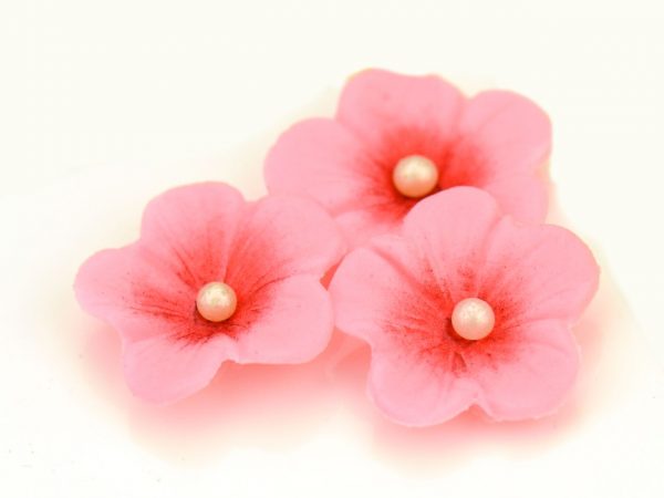 Cake Masters Silikonstempel mit Ausstecher Kirschblüte – Bild 3