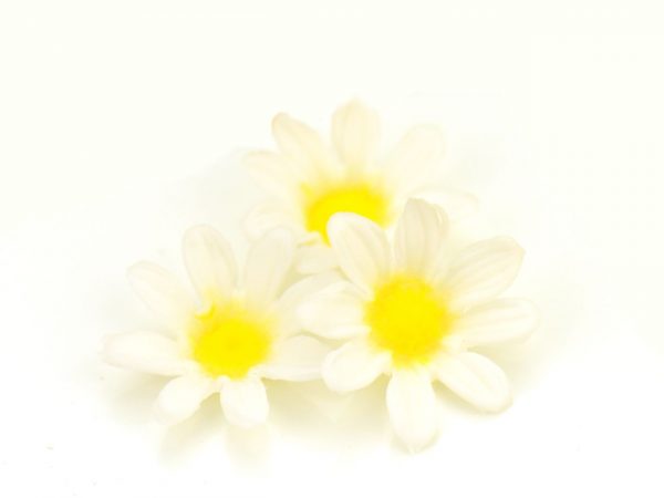 Cake Masters Silikonstempel mit Ausstecher Margerite – Bild 3