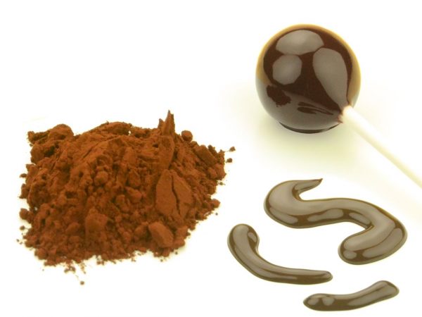 CM Basics Cake-Pop Glasur natural flavour Dark Choc 260g