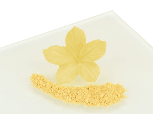 Rainbow Dust Puderfarbe Cream 5g