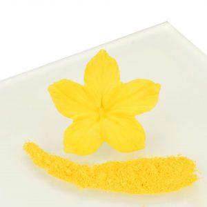 Rainbow Dust Puderfarbe Primrose - Yellow 4g