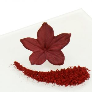 Rainbow Dust Puderfarbe Claret - Bordeaux 2g