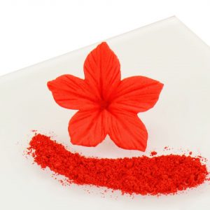 Rainbow Dust Puderfarbe Cherry Pie - Red 2,5g