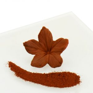 Rainbow Dust Puderfarbe Milk Chocolate - Brown 2g