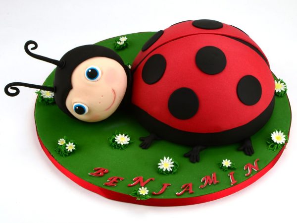 Silikomart Silikonform Torte Halbkugel 18cm GREENLINE