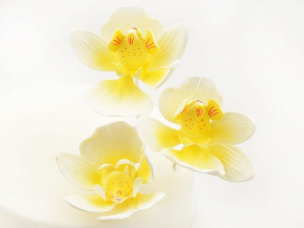 Cake Masters Feinzucker Blüten Moth Orchid 3er