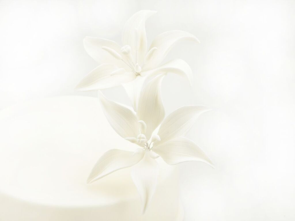 Cake Masters Feinzucker Blüten Tiger Lily White 2er
