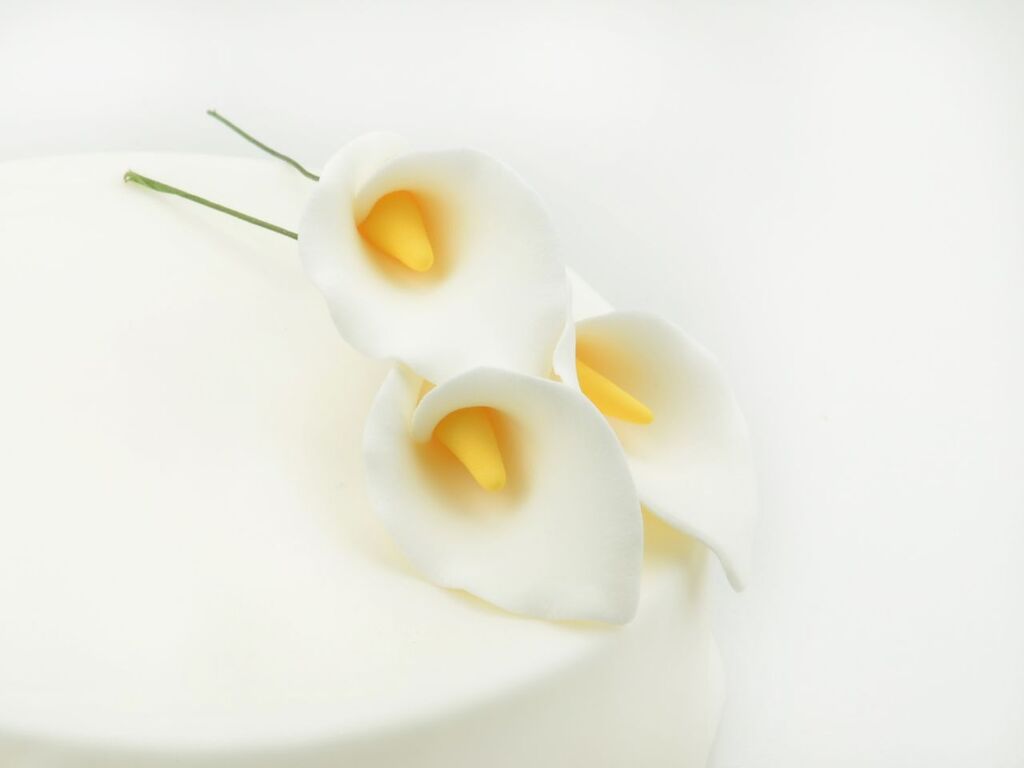 Cake Masters Feinzucker Blüten Calla Lily 3er
