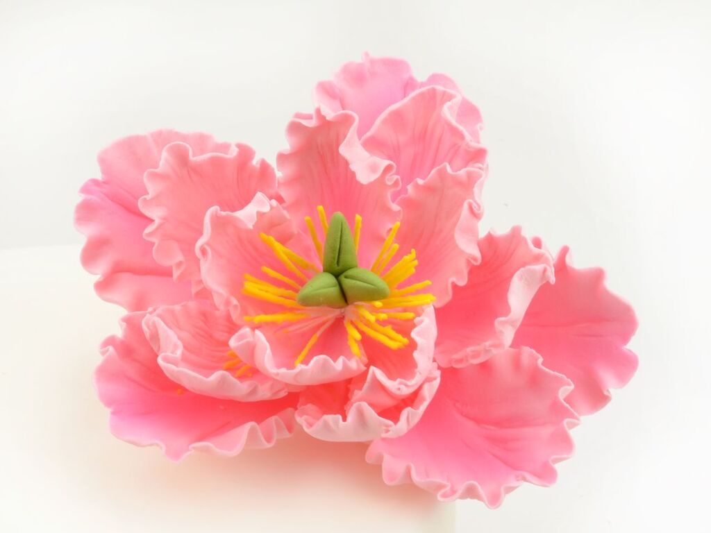 Cake Masters Feinzucker Blüte Peony pink