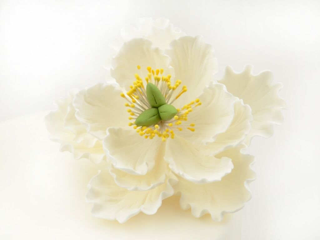 Cake Masters Feinzucker Blüte Peony white