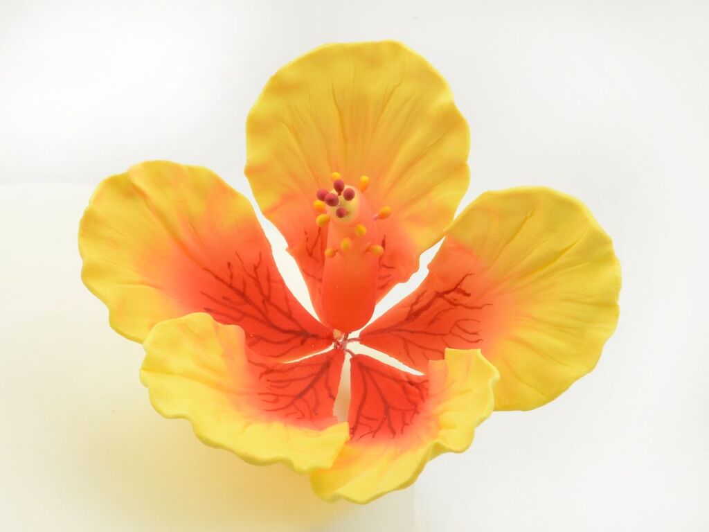 Cake Masters Feinzucker Blüte Hibiscus Giant