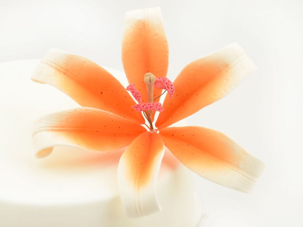 Cake Masters Feinzucker Blüte Lily white orange spray
