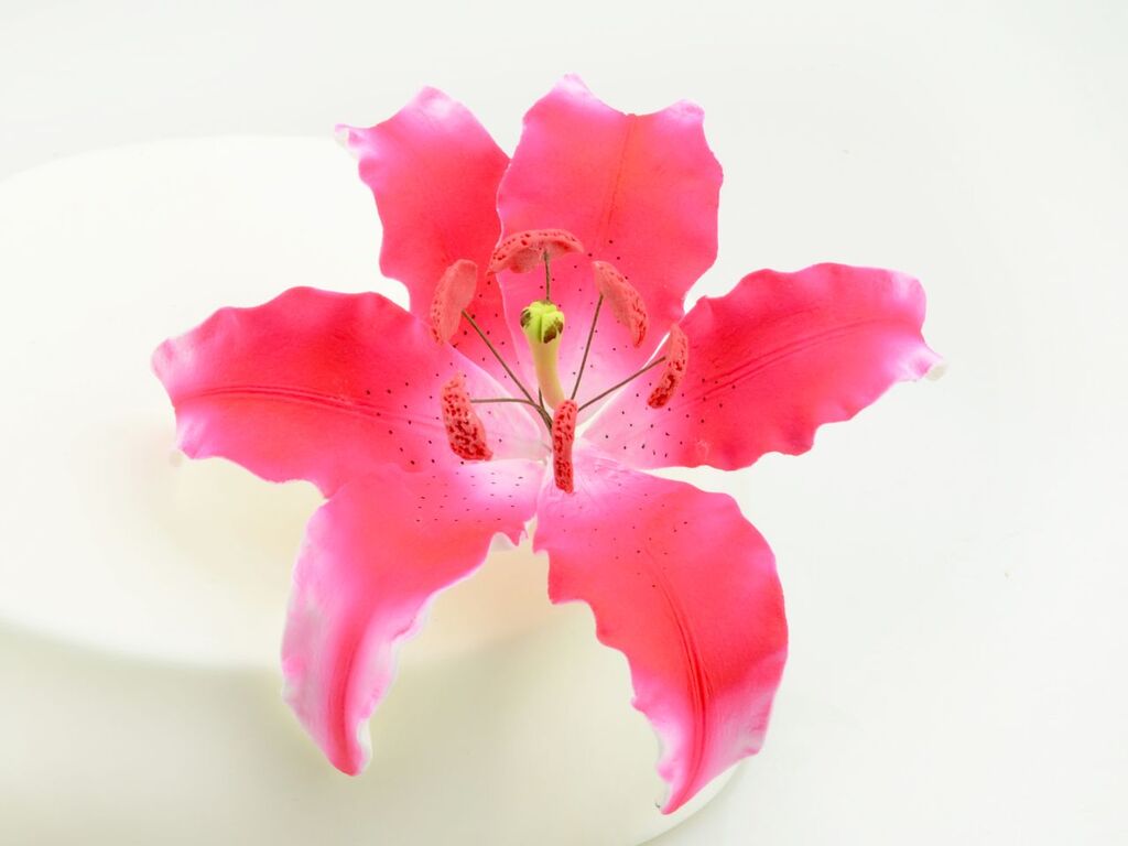 Cake Masters Feinzucker Blüte Lily dark pink spray