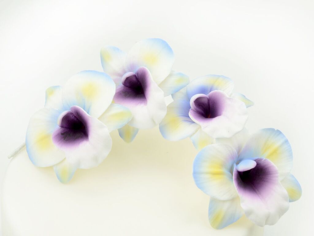 Cake Masters Feinzucker Blütenzweig Orchid spray