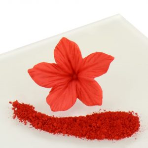 Rainbow Dust Puderfarbe Chili Red 2g