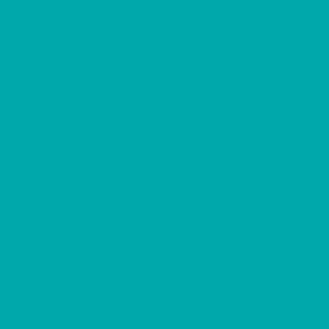 Wilton Lebensmittelfarbe Gel Teal, 28g