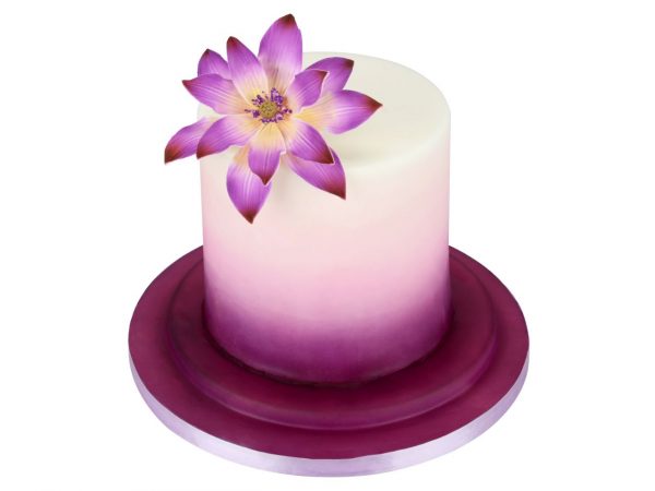 Cake Masters Puderpinsel – Bild 4