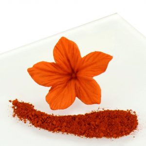 Rainbow Dust Puderfarbe Rust 4g