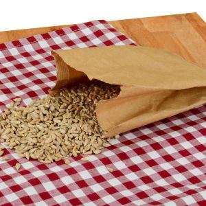 CM Basics Sonnenblumenkerne 100g