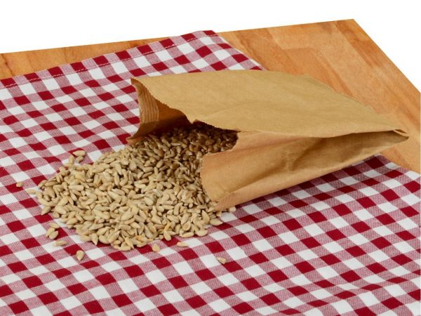 CM Basics Sonnenblumenkerne 100g