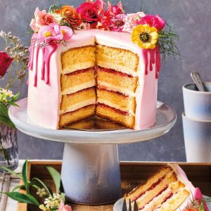 FunCakes Mix für Biskuit Deluxe, 1kg
