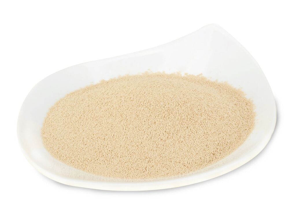 Bruggemann Trockenhefe 500g