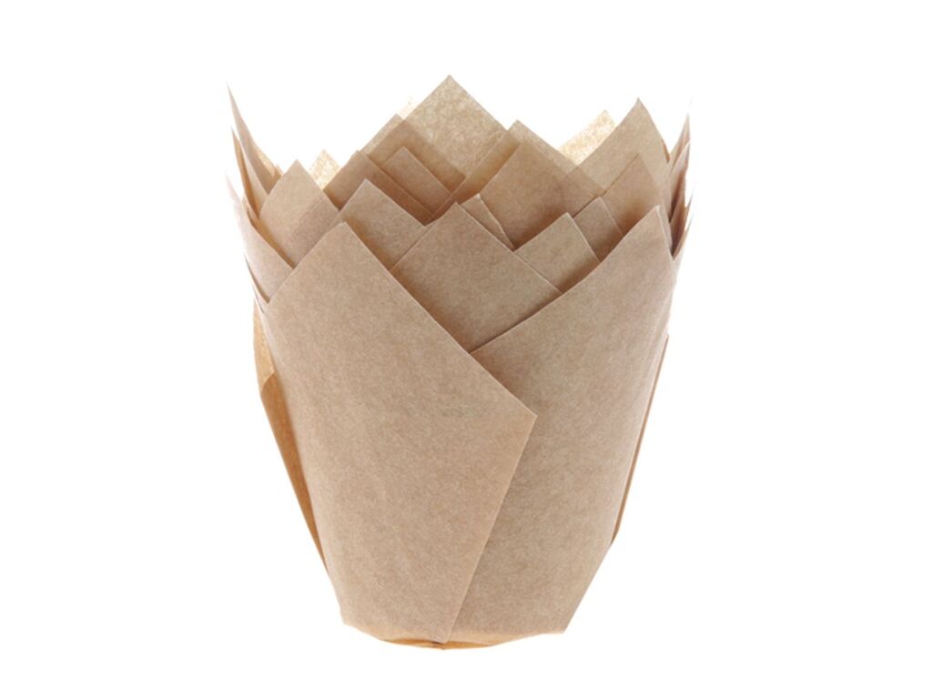 House of Marie Cupcake Tulpen 5cm Kraft 200 Stück