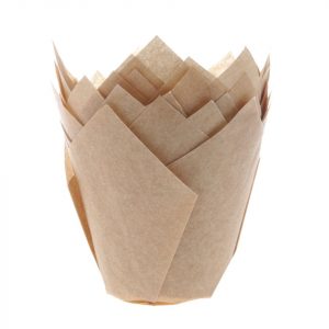 House of Marie Cupcake Tulpen 5cm Kraft 200 Stück