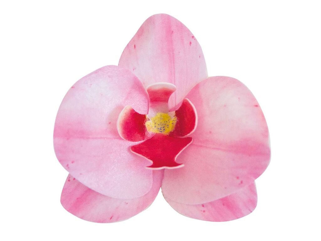 Dekora Wafer-Paper Orchidee pink 7,5-8,5cm 10 Stück
